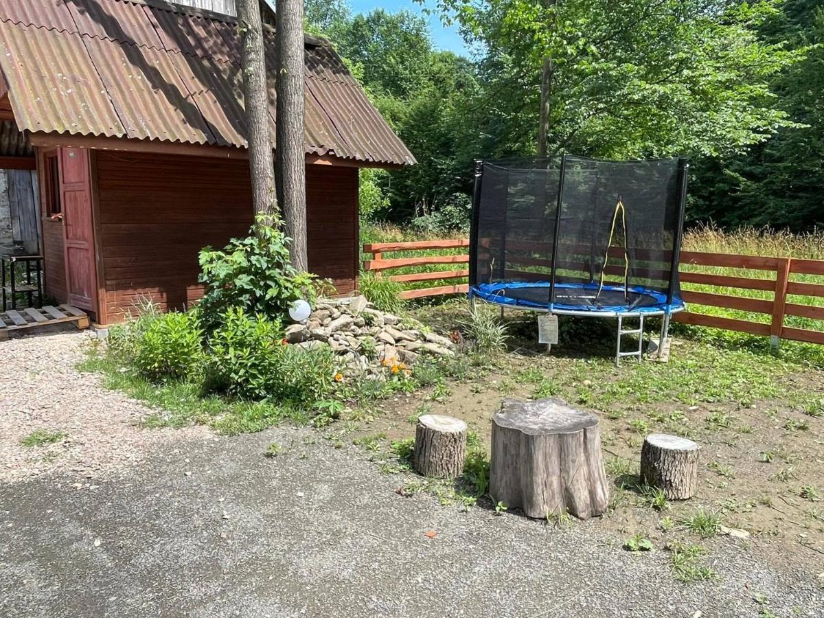 Domek Caloroczny Zagroda Mlynski Sułkowice Exterior foto